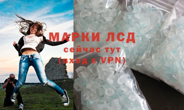 PSILOCYBIN Богданович