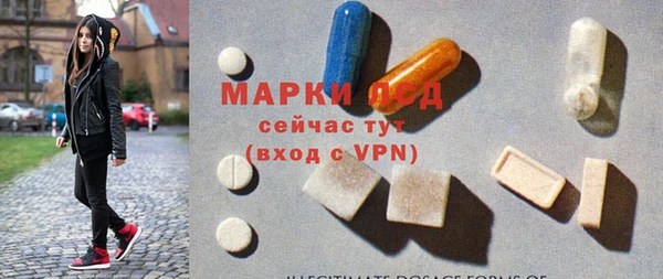 PSILOCYBIN Богданович