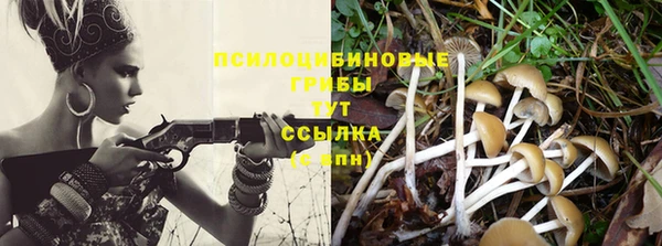PSILOCYBIN Богданович