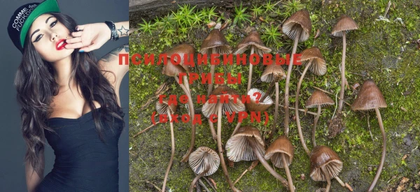 PSILOCYBIN Богданович