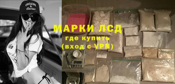 PSILOCYBIN Богданович